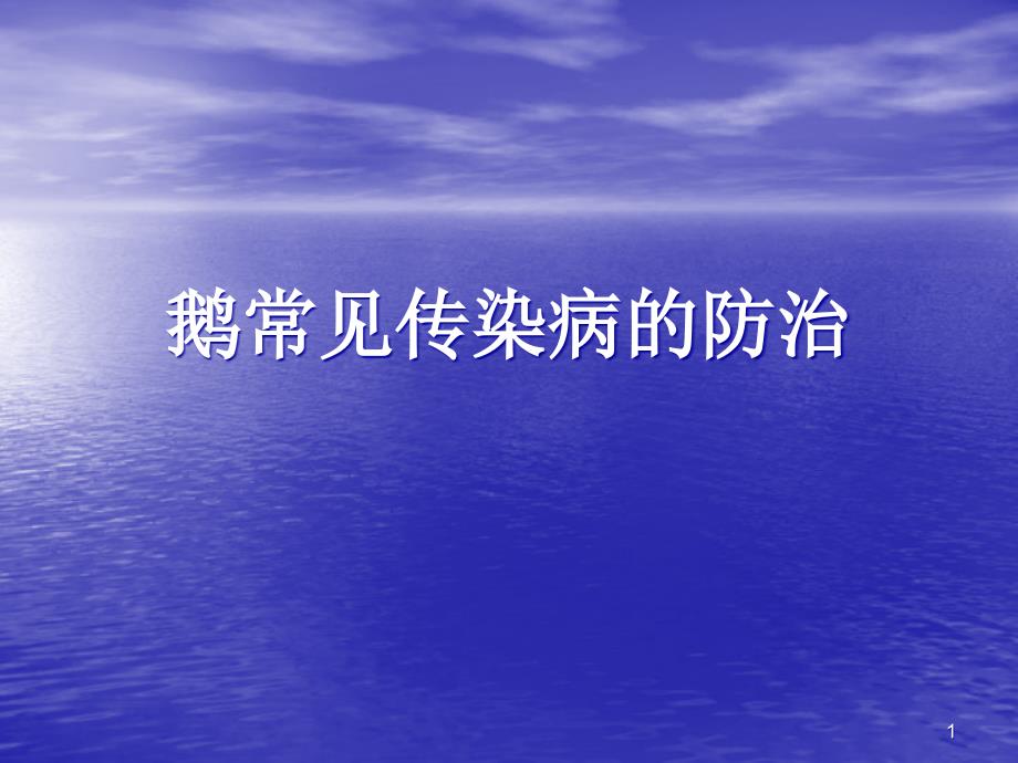 鹅常见传染病的防治水禽医生老葛ppt课件_第1页