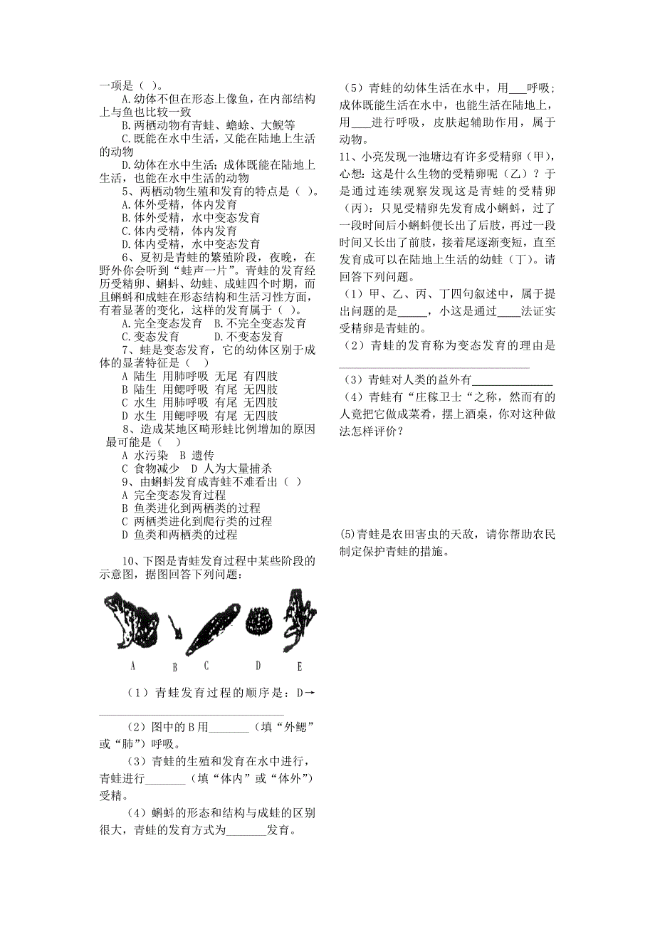 精选类202x八年级生物下册第七单元第一章第三节两栖动物的生殖和发育学案无答案新人教版_第2页