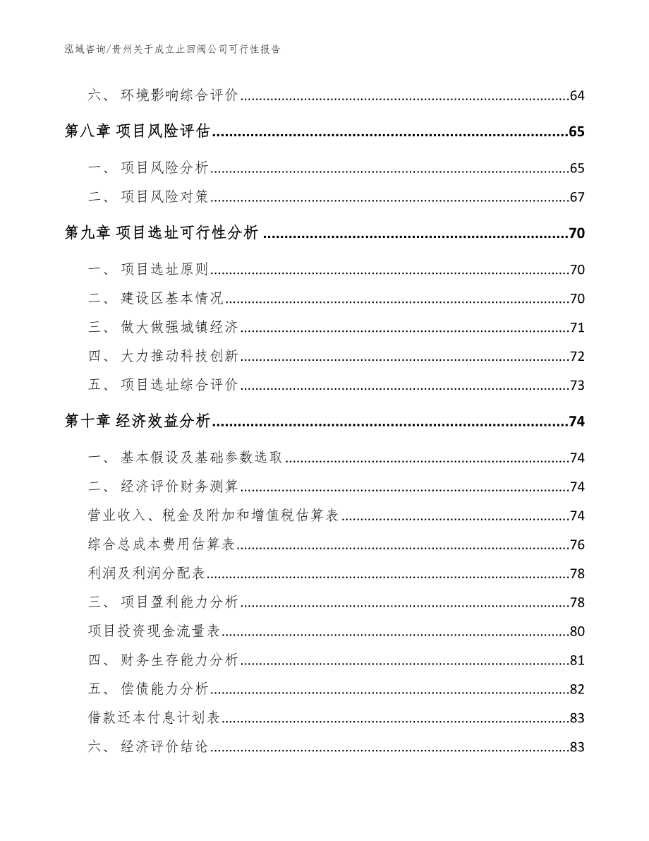 贵州关于成立止回阀公司可行性报告_模板参考_第4页