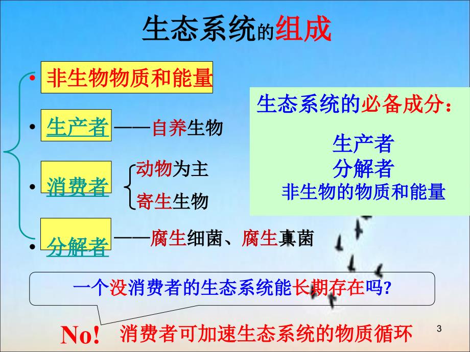 生态系统结构PPT优秀课件_第3页