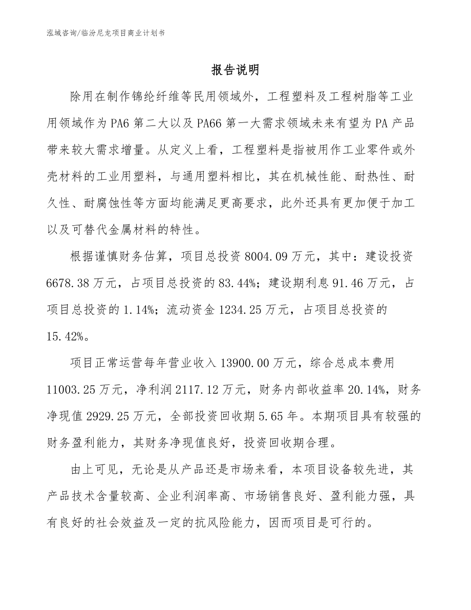 临汾尼龙项目商业计划书_第2页