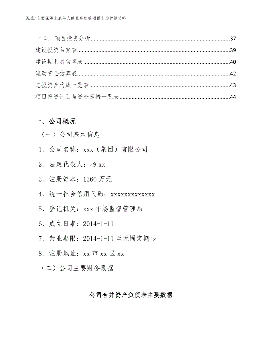 全面保障未成年人的民事权益项目市场营销策略_参考_第2页