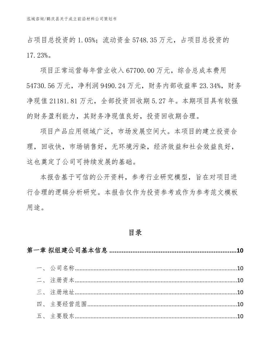 鹤庆县关于成立前沿材料公司策划书_模板_第5页