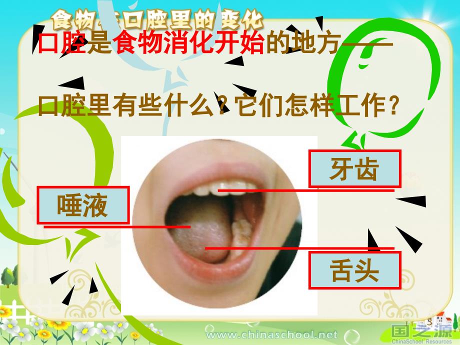 科学食物在口腔里的变化课堂PPT_第3页