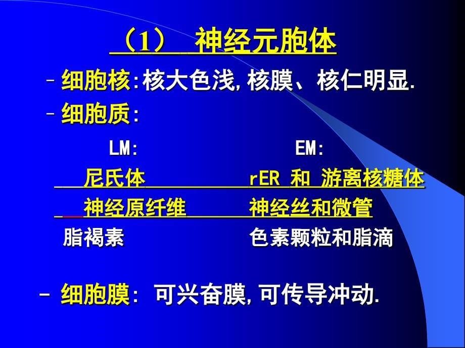 组织学与胚胎学课件：CH7 神经组织_第5页