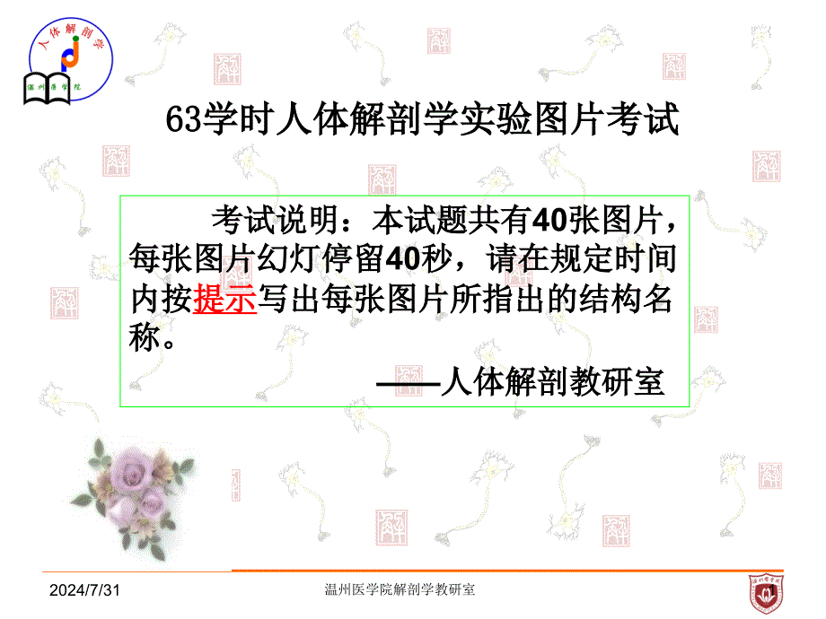 系统解剖学：骨骼肌_第1页