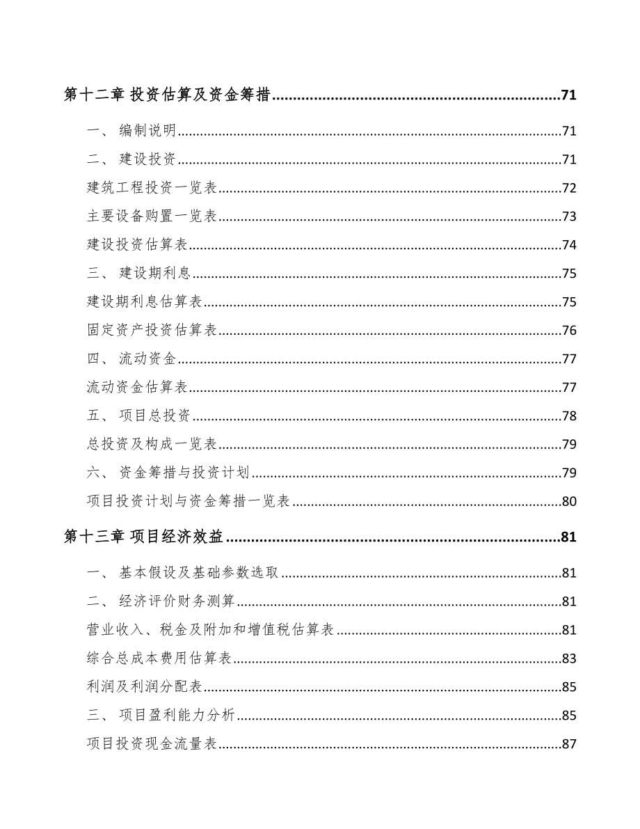 石嘴山智能交通设备项目可行性研究报告_第5页