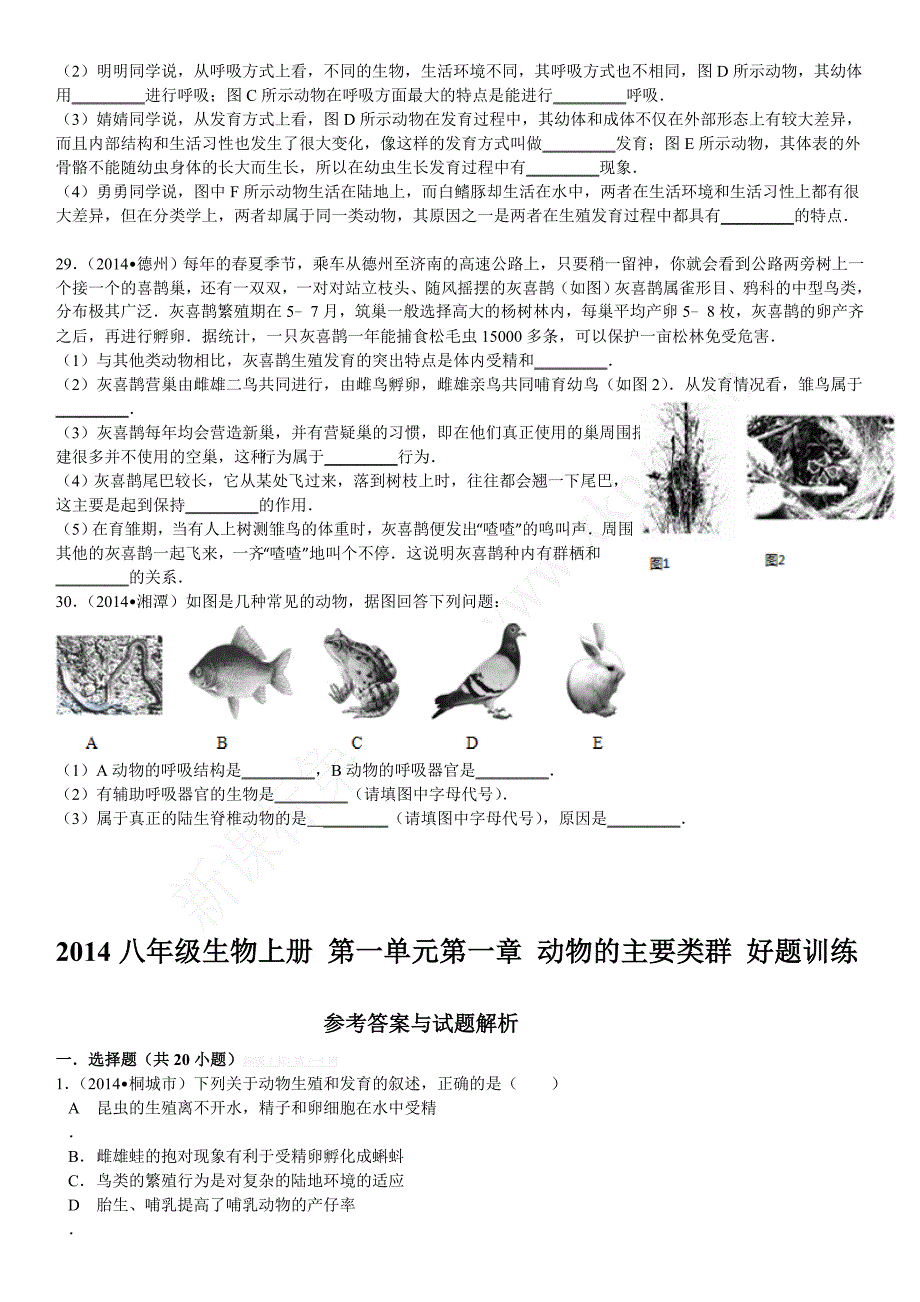 第五单元第一章动物的主要类群检测题1及答案解析_第4页