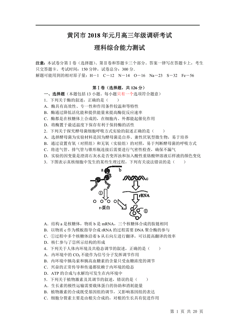 黄冈市元月高三年级调研考试理综试题_第1页