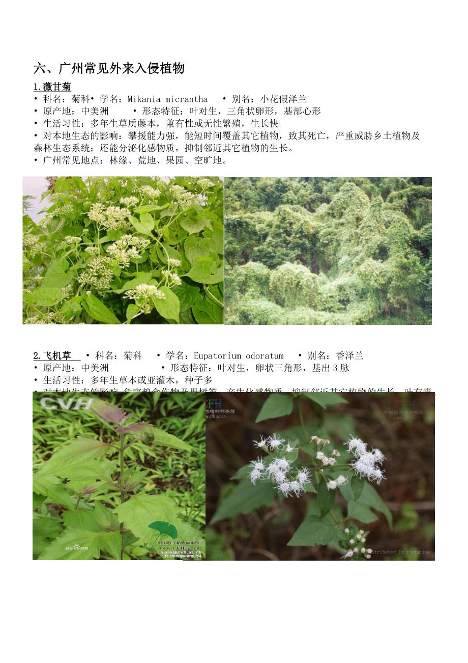 外来入侵植物的危害及其入侵机制_第2页