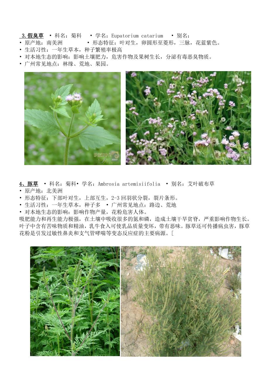 外来入侵植物的危害及其入侵机制_第3页