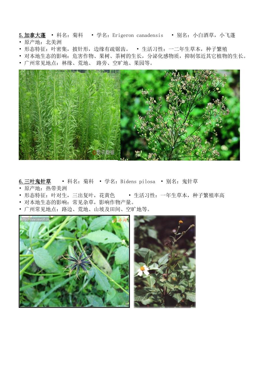 外来入侵植物的危害及其入侵机制_第4页