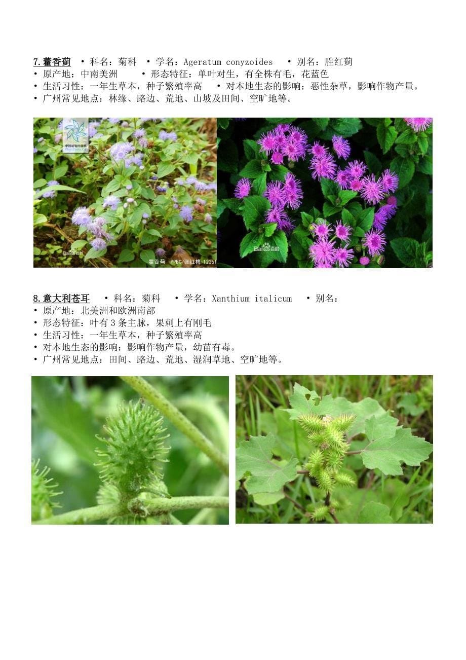 外来入侵植物的危害及其入侵机制_第5页