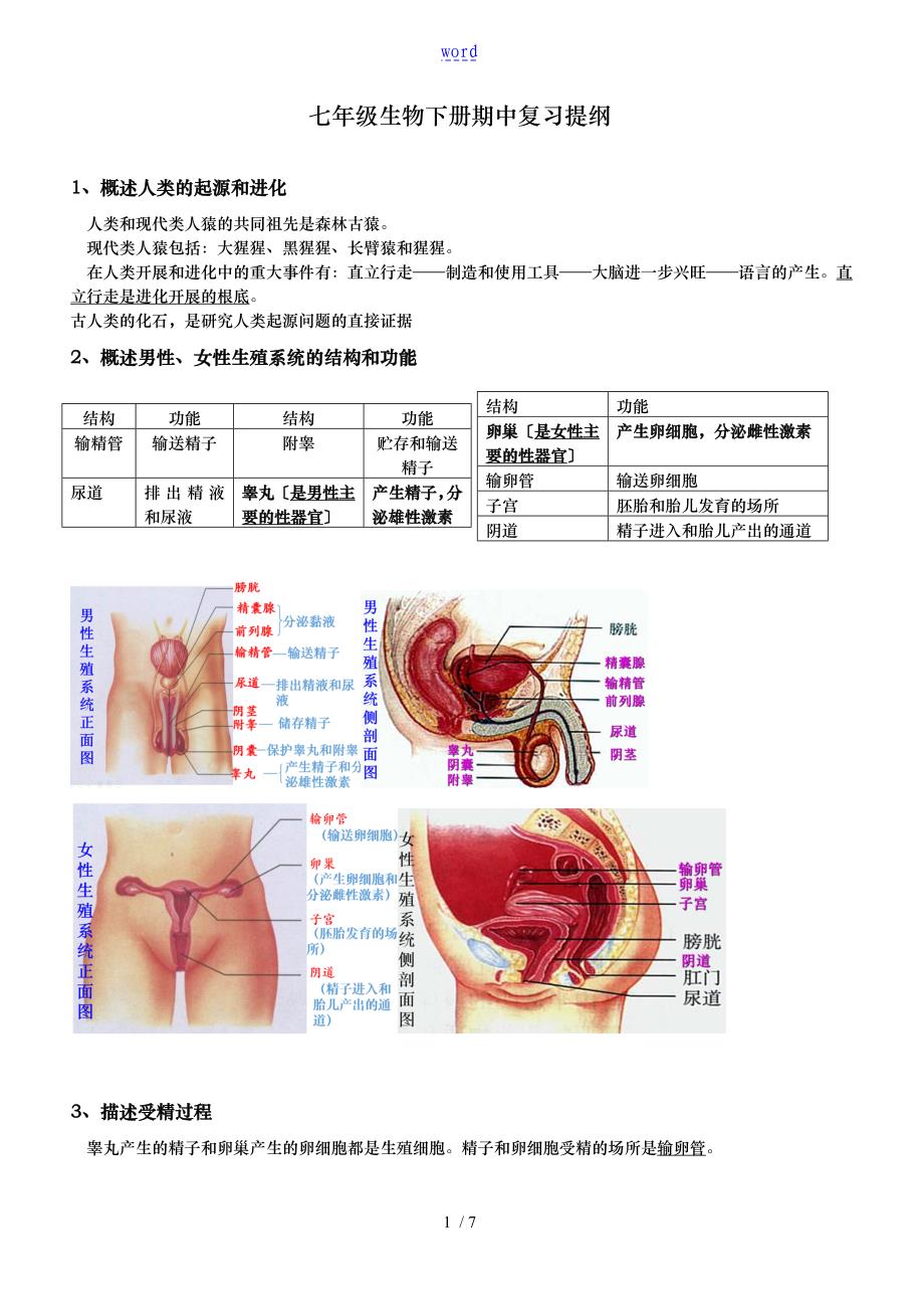 生物七年级（下册）期中考试复习提纲_第1页