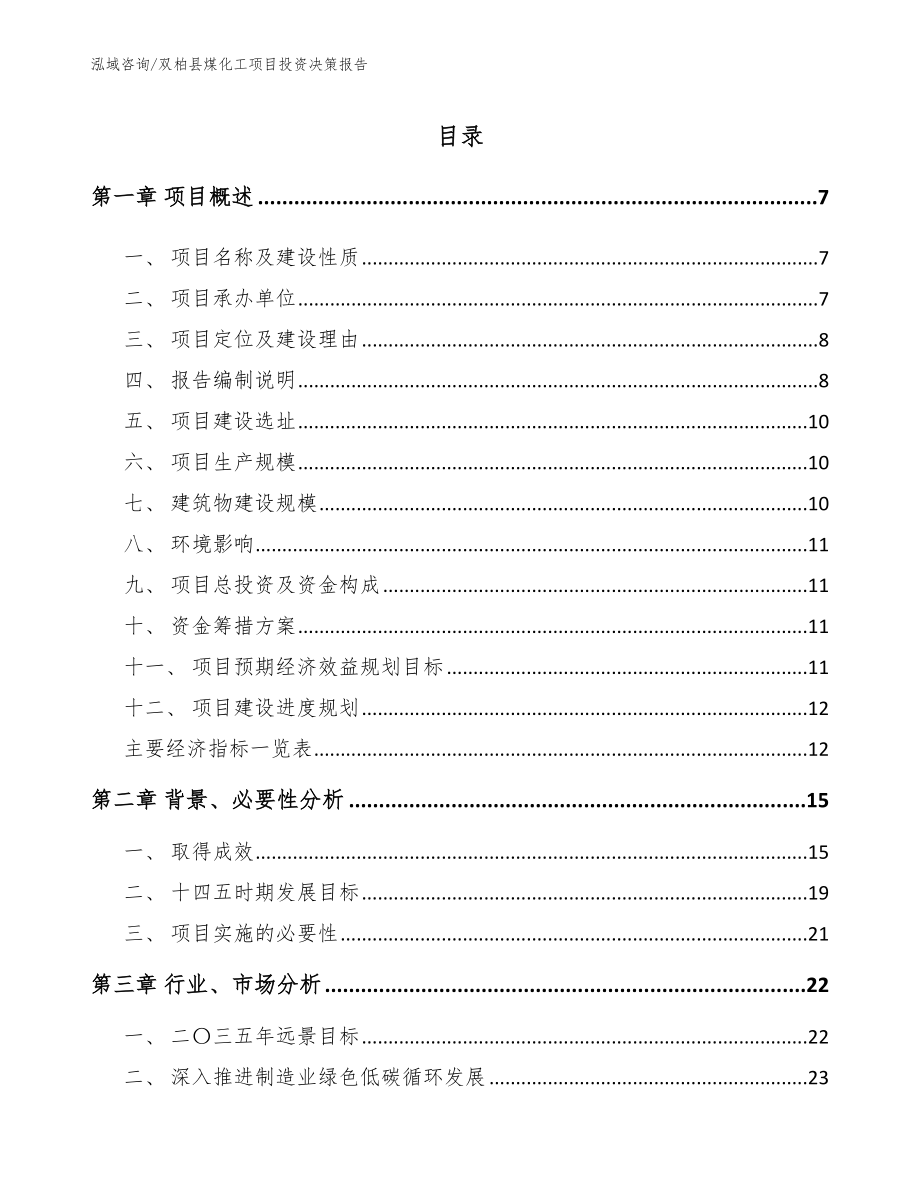 双柏县煤化工项目投资决策报告_范文_第1页