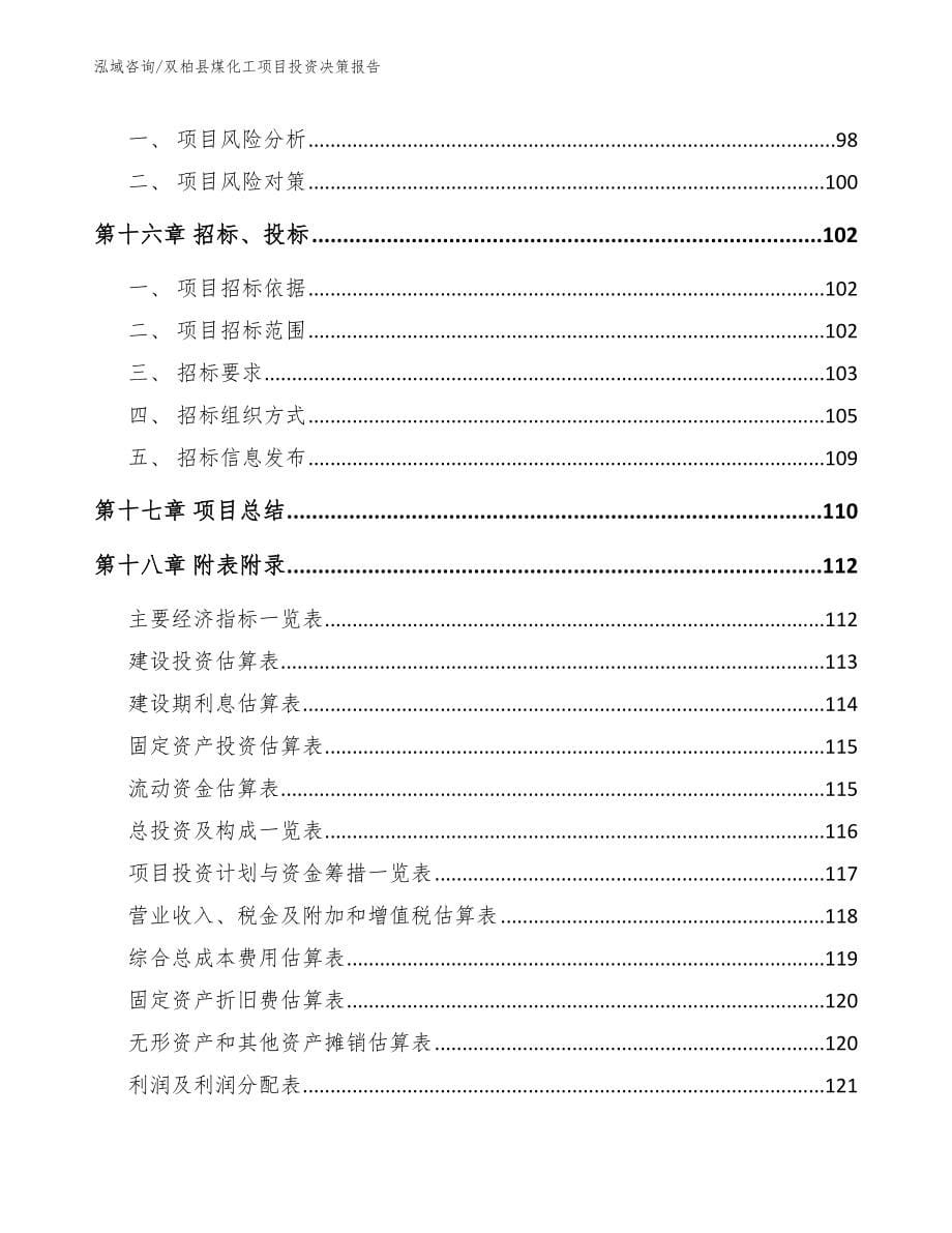 双柏县煤化工项目投资决策报告_范文_第5页