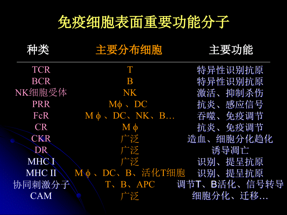 免疫学与免疫系统疾病：第七章 白细胞分化抗原和黏附分子_第3页