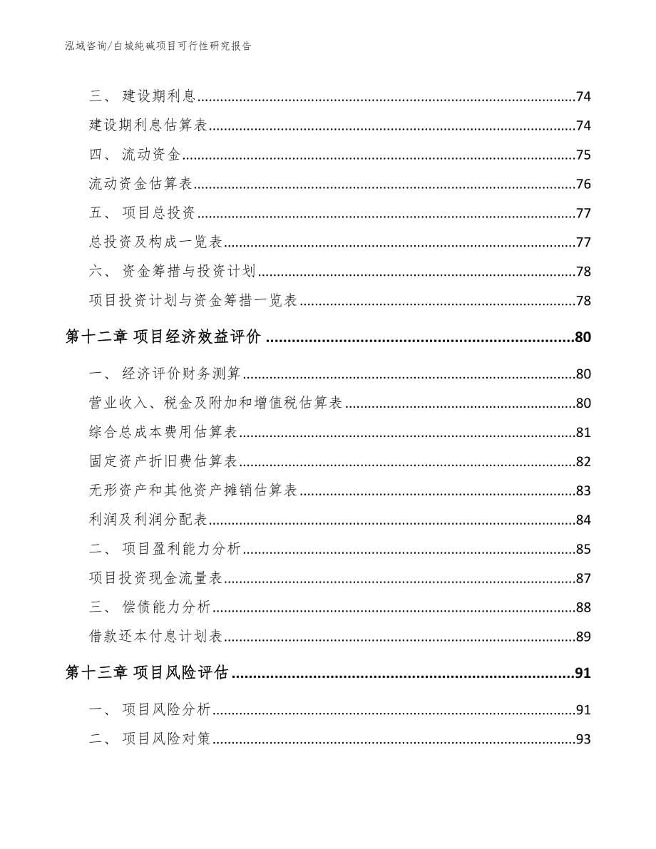 白城纯碱项目可行性研究报告_参考范文_第5页