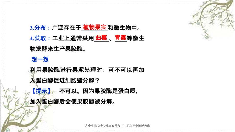 高中生物同步32酶在食品加工中的应用中图版选修课件_第4页