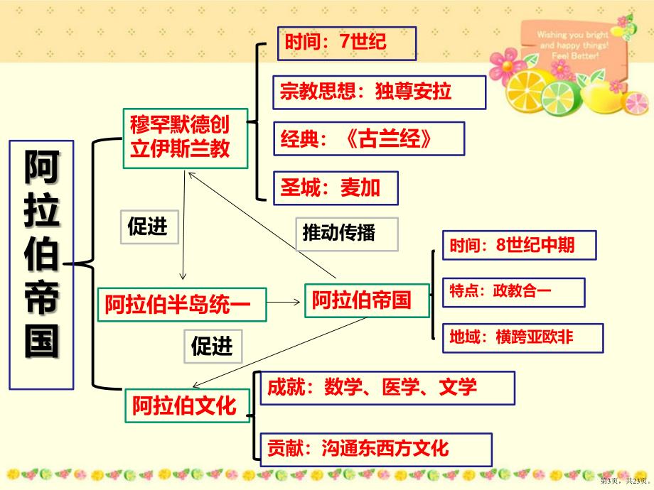 《封建时代的亚洲国家》教学课件_第3页