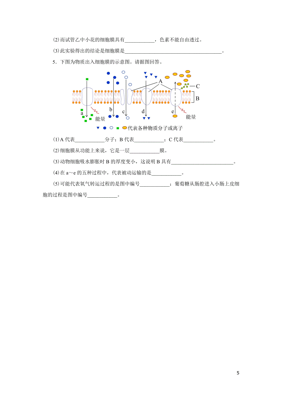 高中生物-细胞的物质输入和输出测试题及答案.doc_第5页