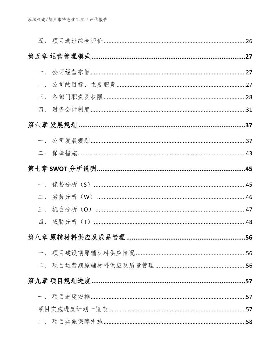 凯里市特色化工项目评估报告_第2页