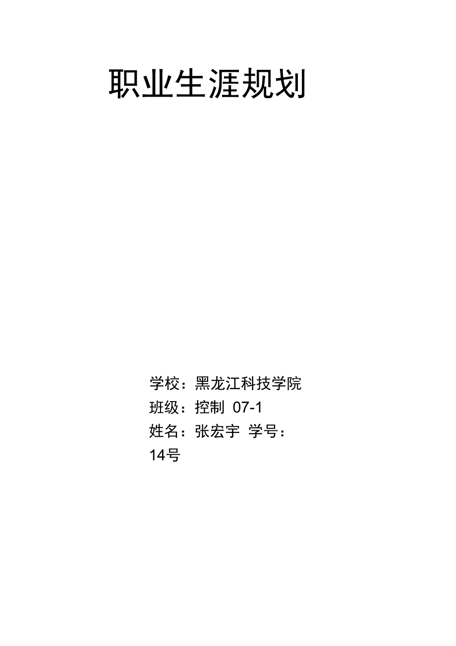 张宏宇职业生涯规划_第1页