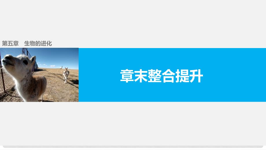 高中生物 第五章 生物的进化章末整合提升课件 苏教版必修2_第1页