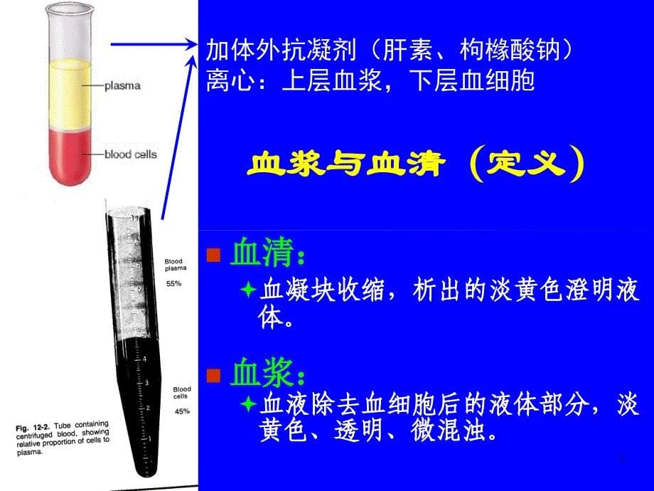 cc第二节血液系统构成及其生理_第5页