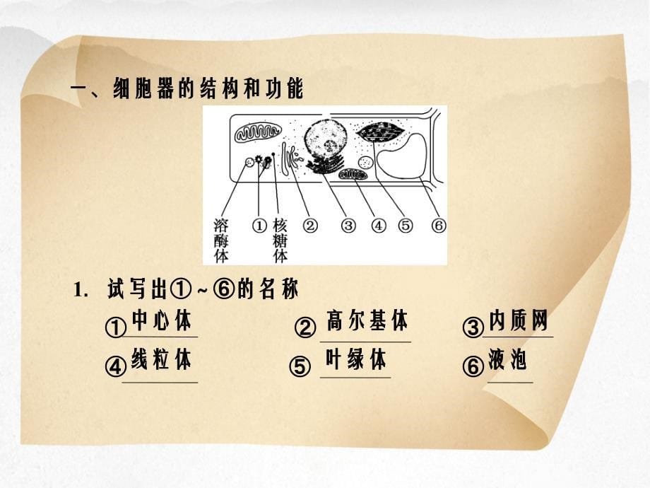 必修1第3章第二讲细胞器系统内的分工合作教材第2节_第5页