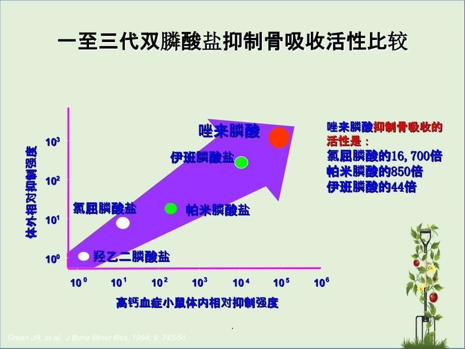 201x.12.1双膦酸盐在乳腺癌辅助治疗中的应用_第5页