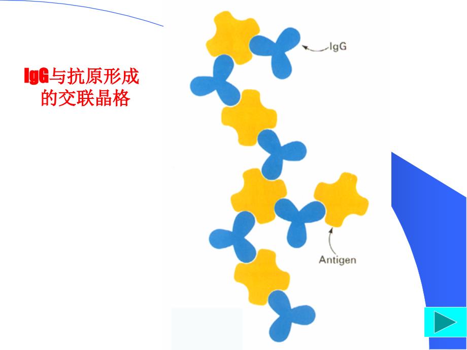 抗体酶Abzyme_第4页