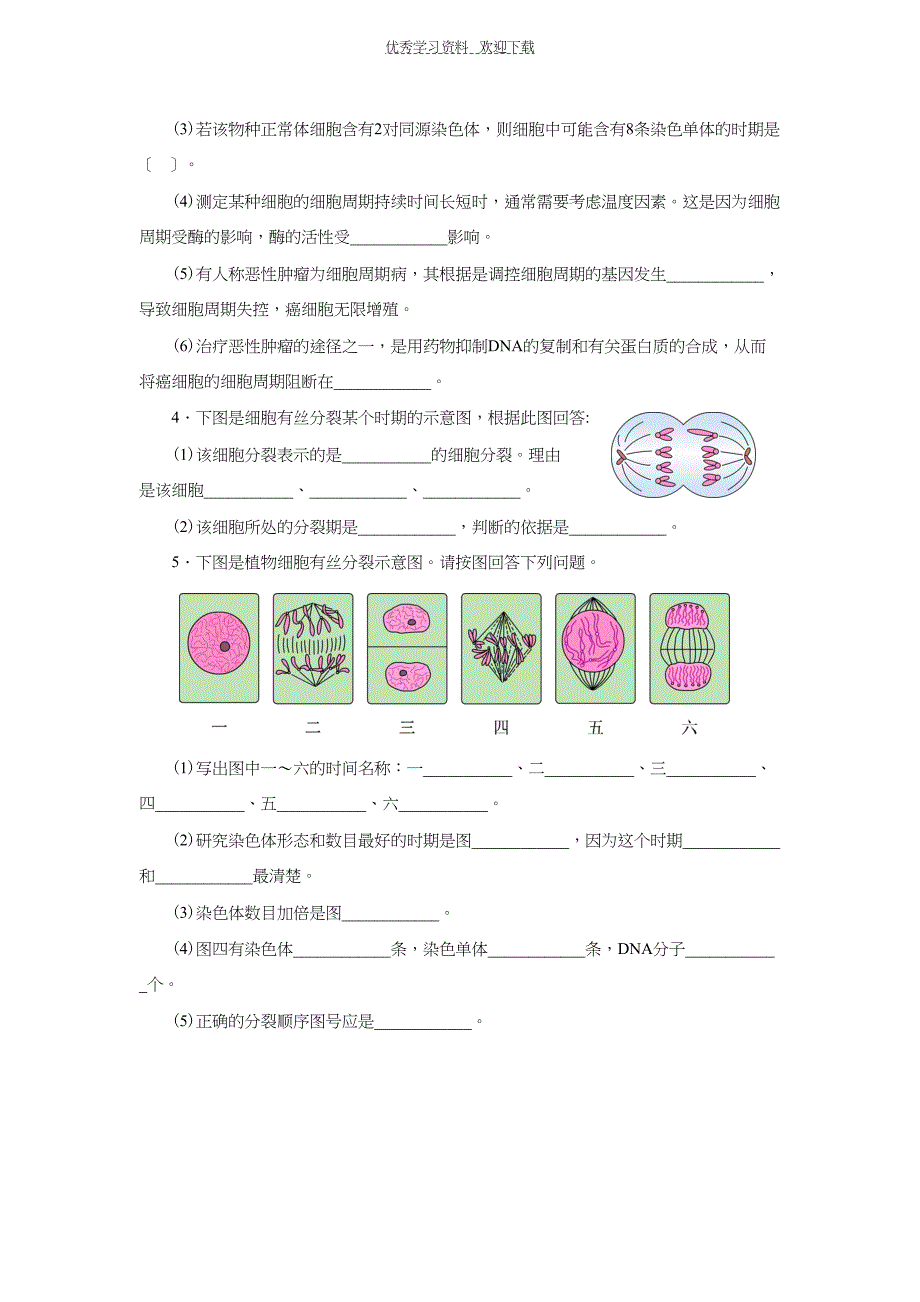 高中生物细胞的生命历程测试题及答案(DOC 7页)_第4页