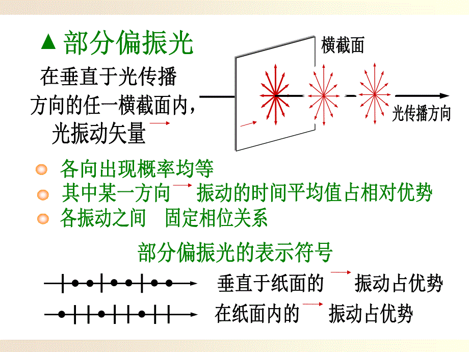 光的偏振ppt课件_第4页