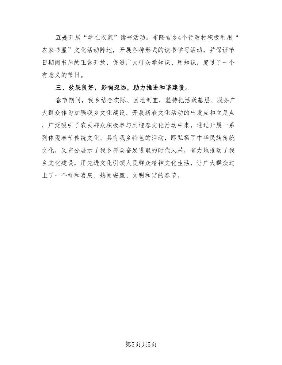社区春节文化活动总结范文（2篇）.doc_第5页