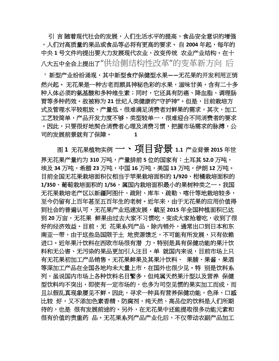 无花果项目商业计划书.doc_第1页