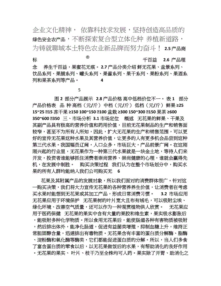 无花果项目商业计划书.doc_第3页