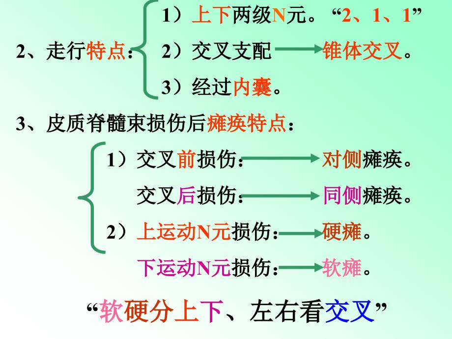 运动传导路教学课件_第4页