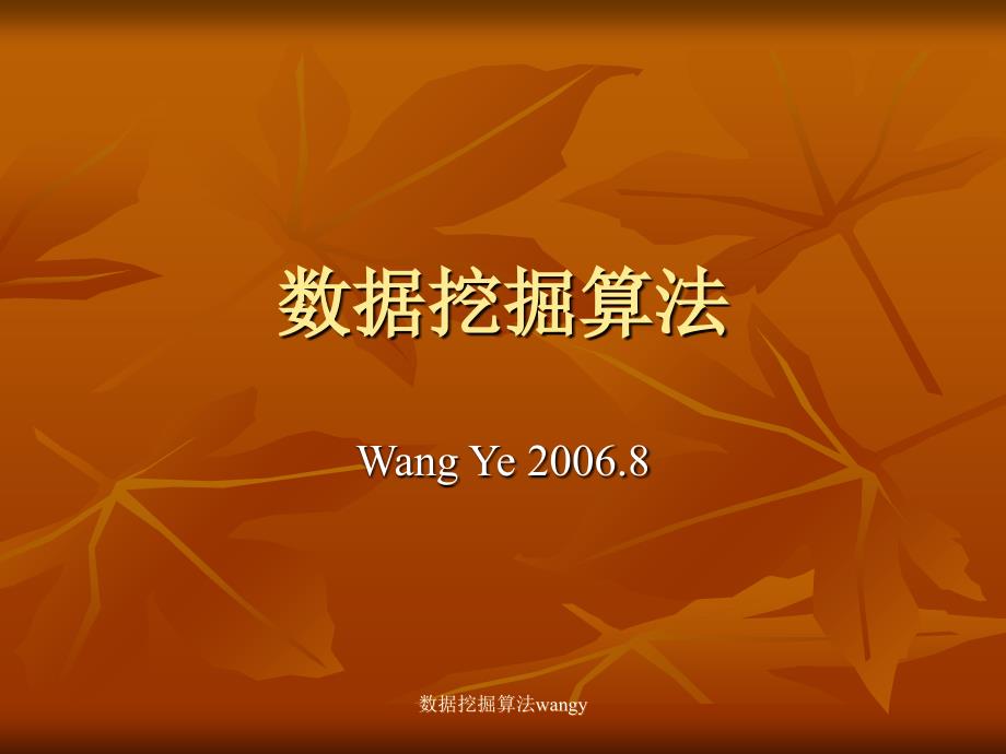 数据挖掘算法wangy课件_第1页