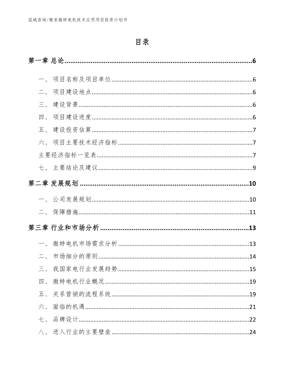 雅安微特电机技术应用项目投资计划书模板_第2页