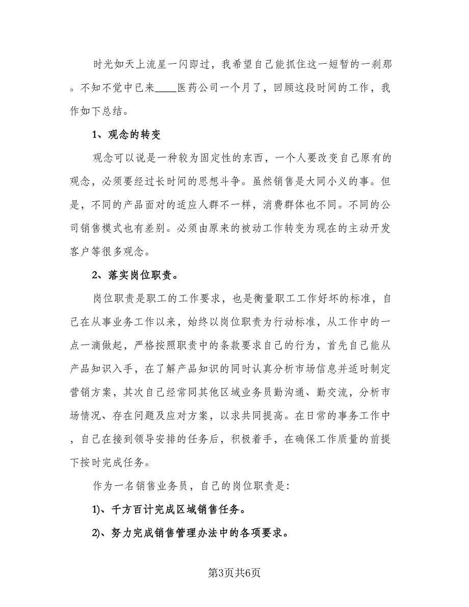 销售人员个人年度工作总结个人模板（二篇）.doc_第3页