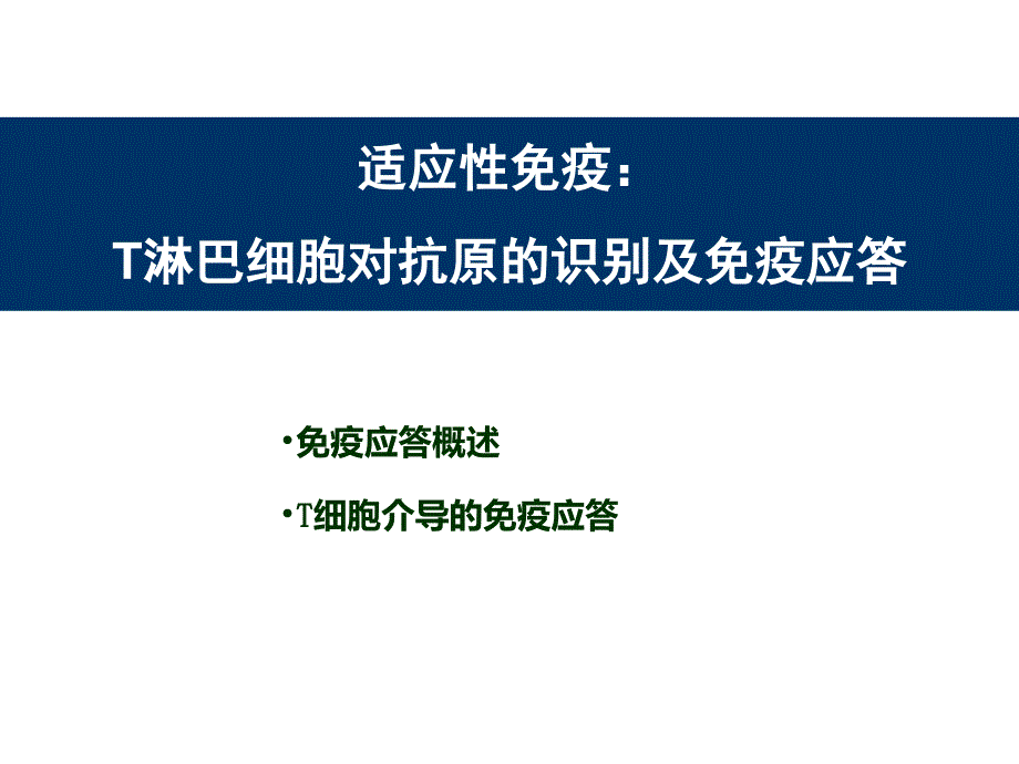 T细胞介导的细胞免疫应答_第1页