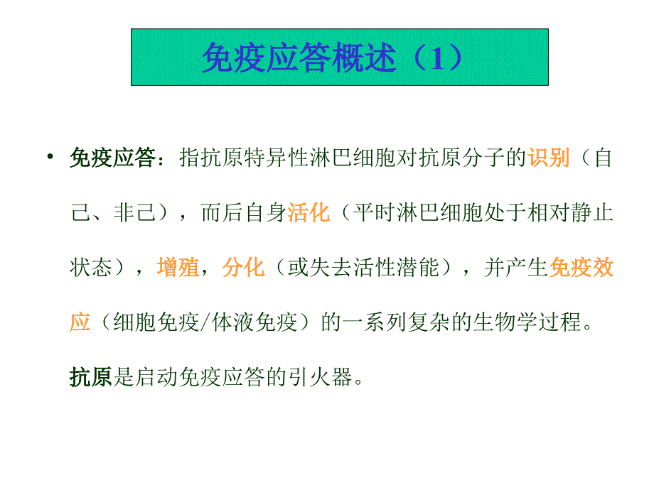 T细胞介导的细胞免疫应答_第2页