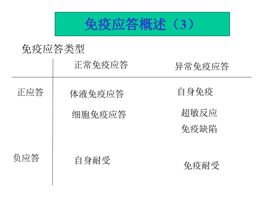 T细胞介导的细胞免疫应答_第4页