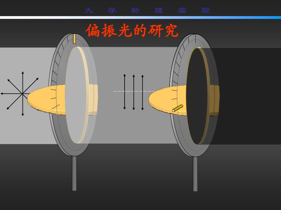 【精品】偏振光的研究76_第2页