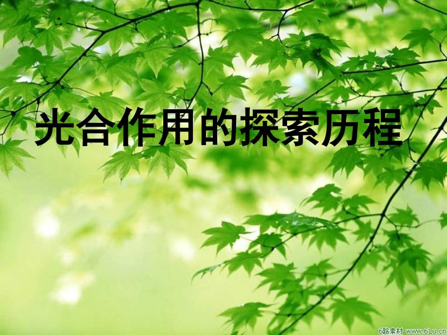 5.4细胞的能量供应和利用课件2[精选文档]_第1页