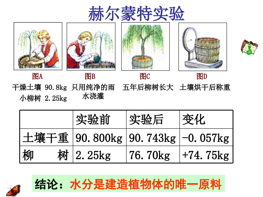 5.4细胞的能量供应和利用课件2[精选文档]_第2页