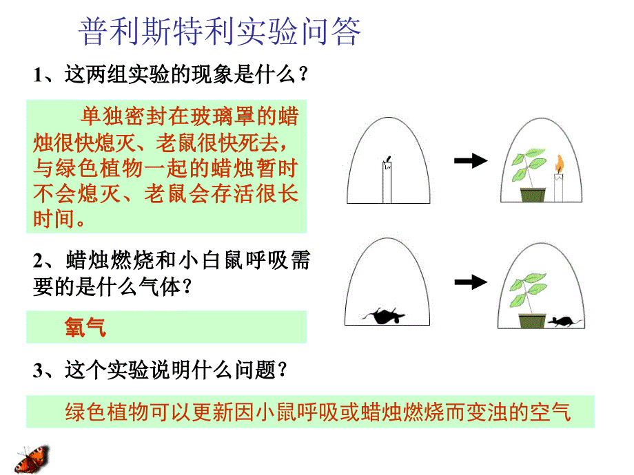 5.4细胞的能量供应和利用课件2[精选文档]_第3页