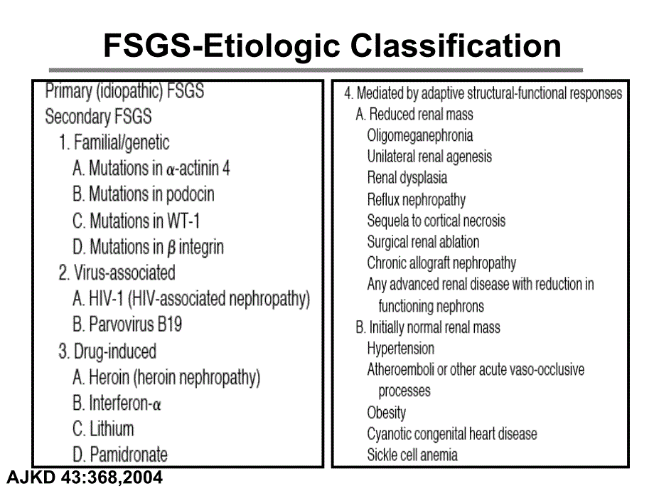 FSGS病理分型特点_第4页