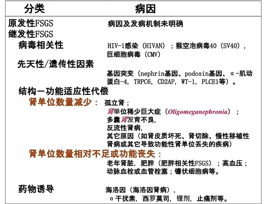 FSGS病理分型特点_第5页